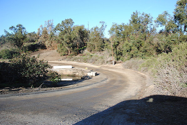 DSC 0082
