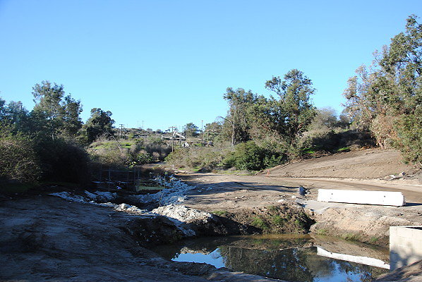 DSC 0081