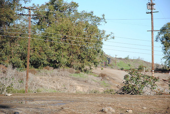 DSC 0107