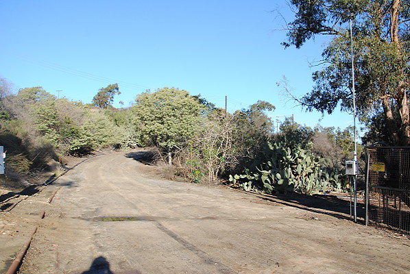 DSC 0130