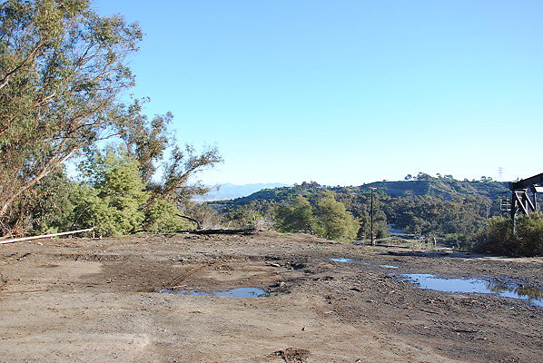 DSC 0125