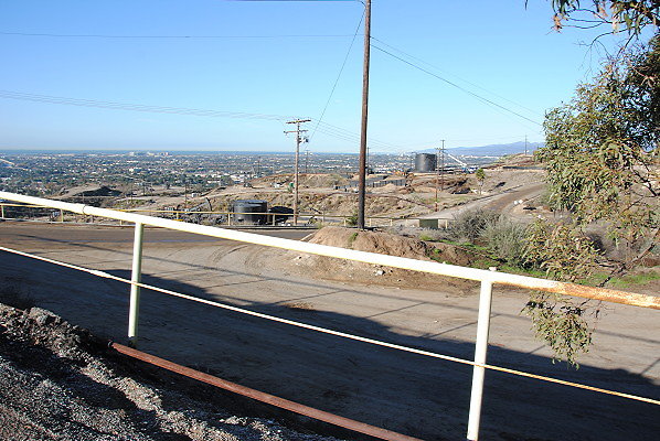 DSC 0142