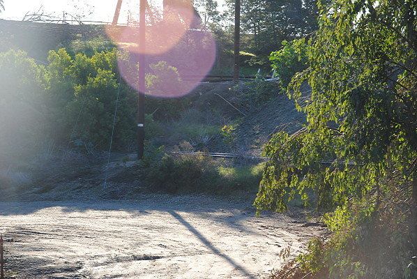 DSC 0097