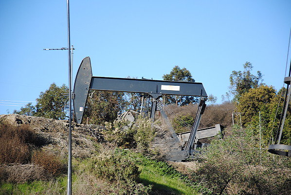 DSC 0085