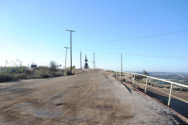 DSC 0137