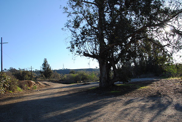 DSC 0071