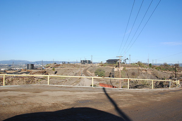 DSC 0155