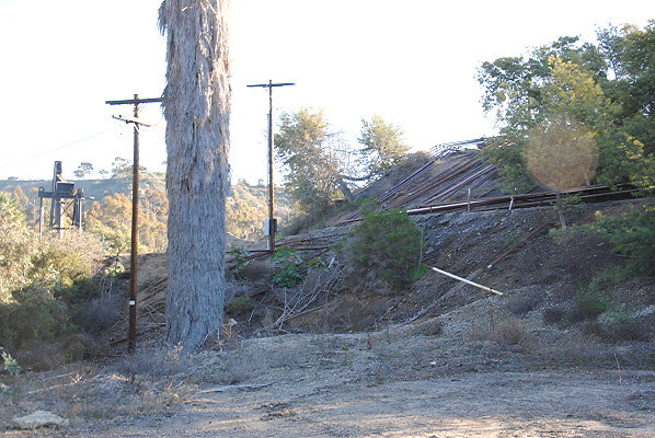 DSC 0110
