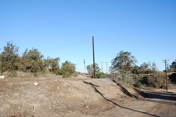 DSC 0090