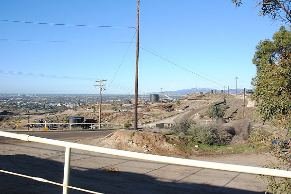 DSC 0153