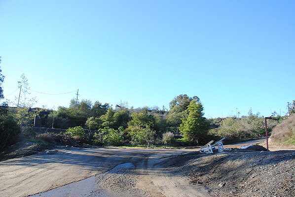DSC 0088