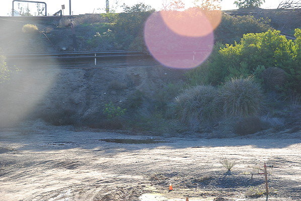 DSC 0096