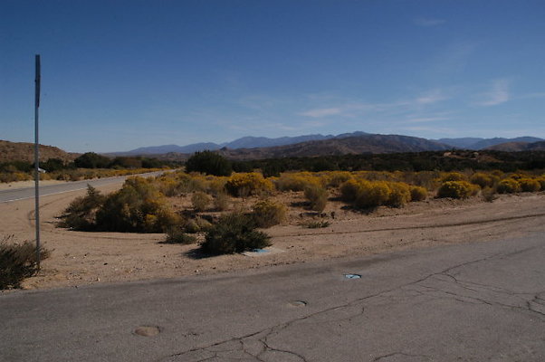 40thStEast BarrelSprings 001