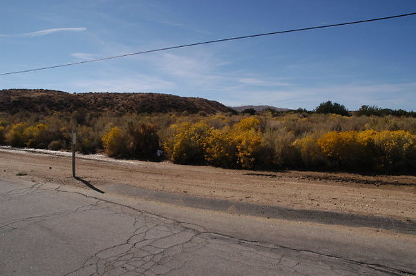 40thStEast BarrelSprings 003