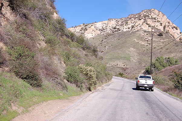 DSC 0098