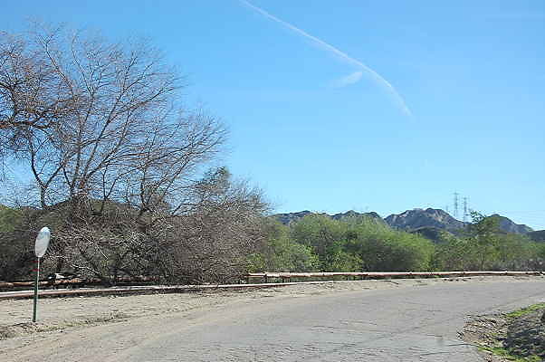 DSC 0196