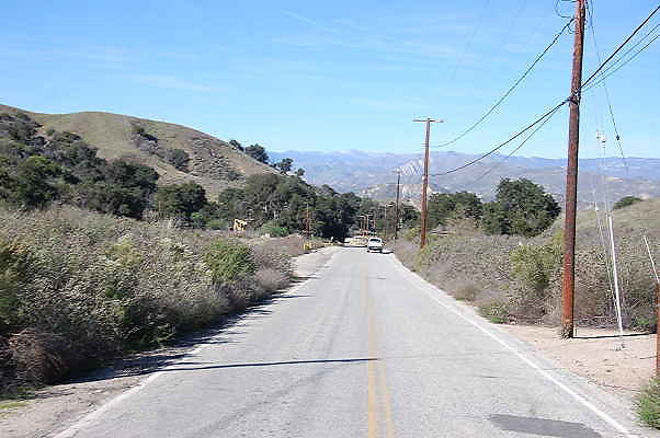 DSC 0115