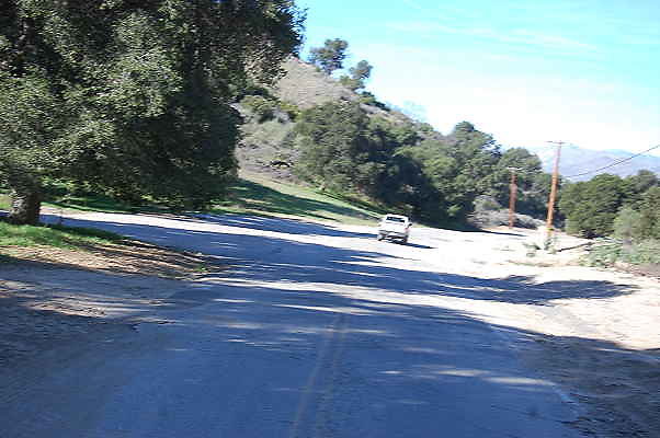 DSC 0119