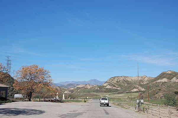 DSC 0128