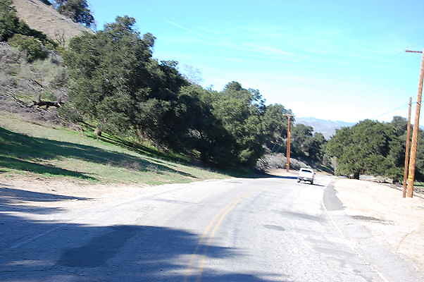 DSC 0120