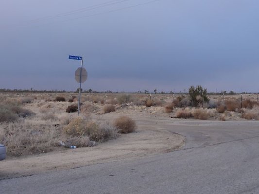 DSC05914