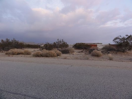 DSC05917