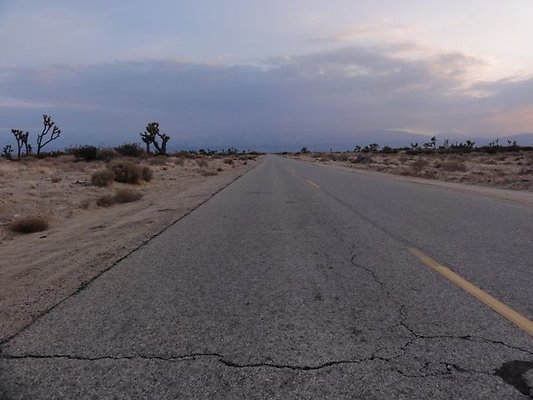 DSC05904