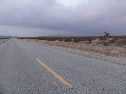 DSC05952