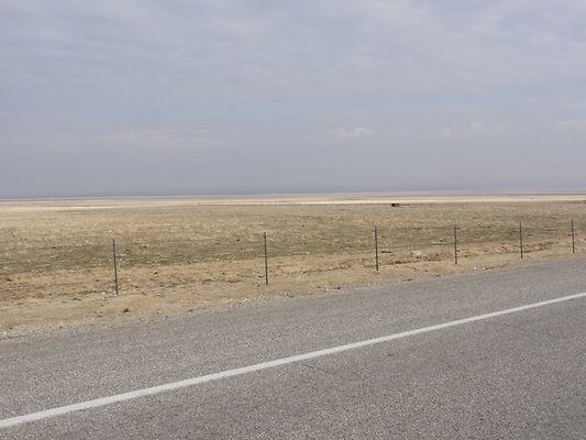 DSC05783