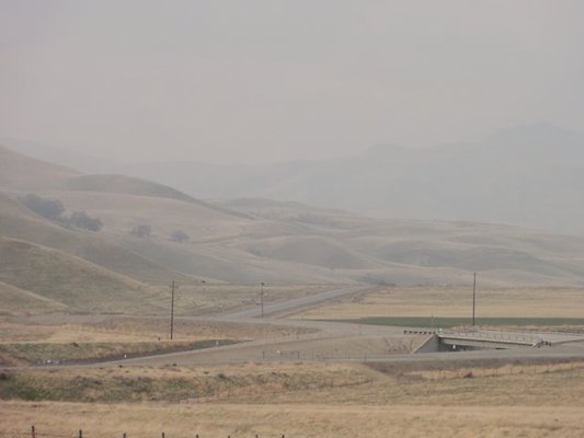 DSC05709