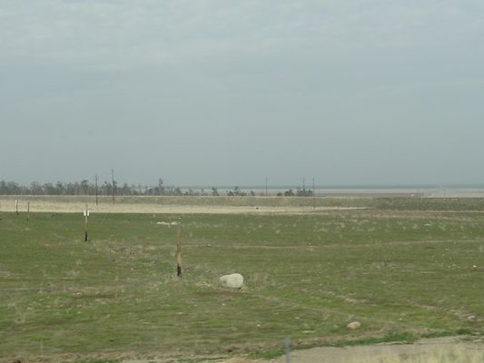 DSC05738
