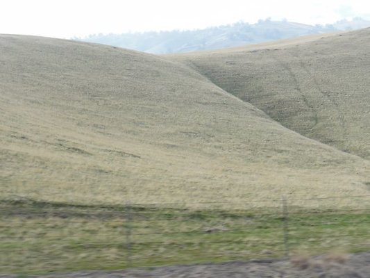 DSC05739