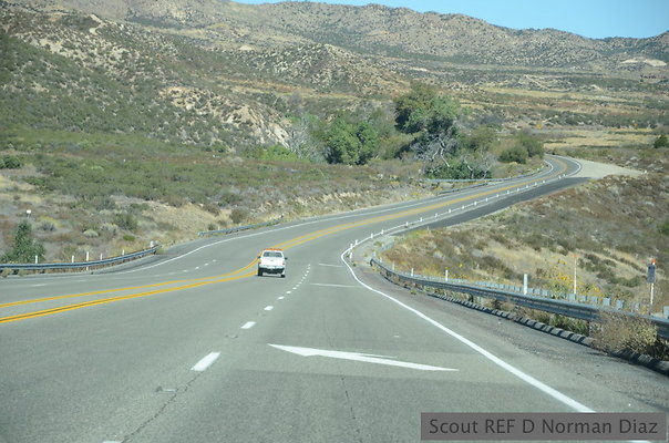 DND 3779