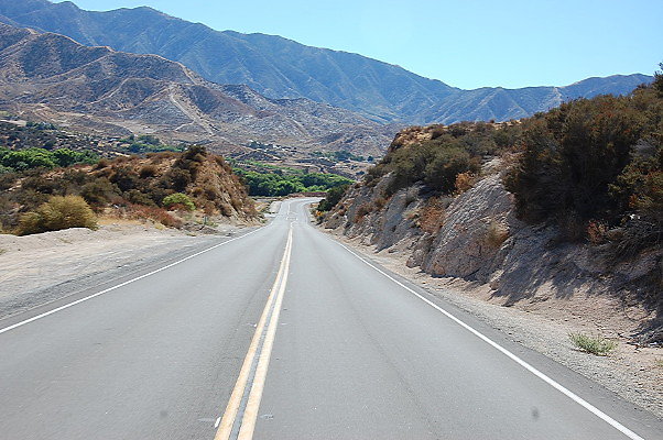 DSC 0065