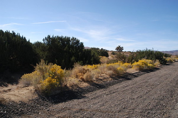 BarrelSprings 40thStEast 006