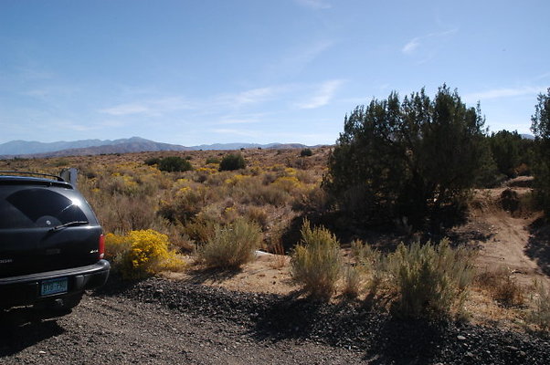 BarrelSprings 40thStEast 005