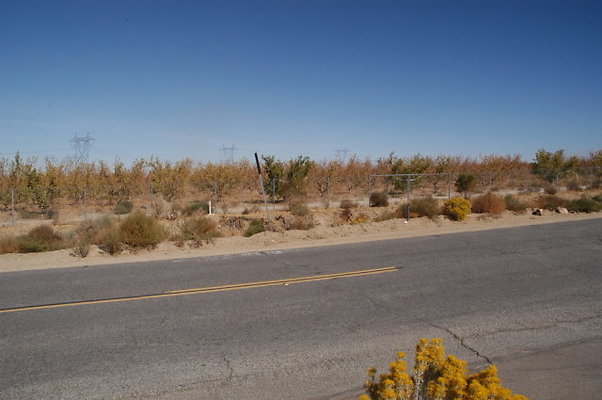 FtTejonRd MtEmma 005