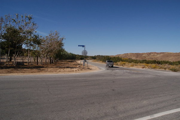 BarrelSprings Cheseboro 001