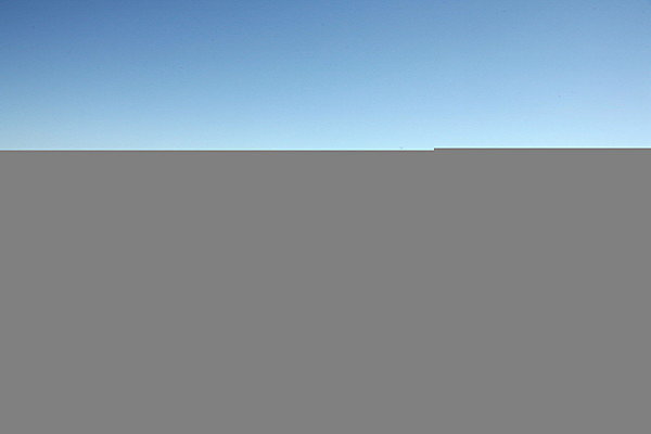 IMG 8120