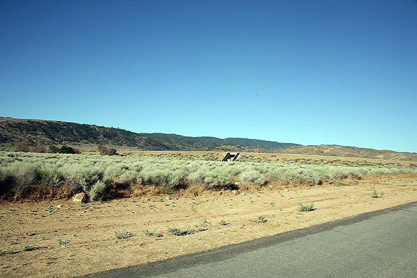IMG 8093