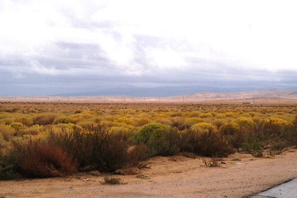 150th Street West.Ave D 039 150th Street West.Ave D 039