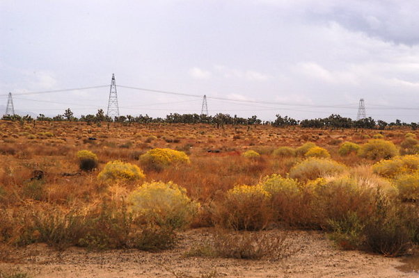 150th Street West.Ave D 042 150th Street West.Ave D 042