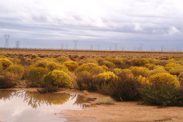 150th Street West.Ave D 044 150th Street West.Ave D 044