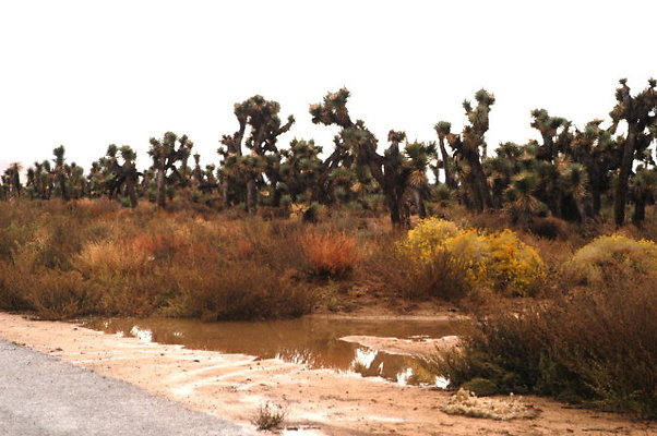 150th Street West.Ave D 041 150th Street West.Ave D 041