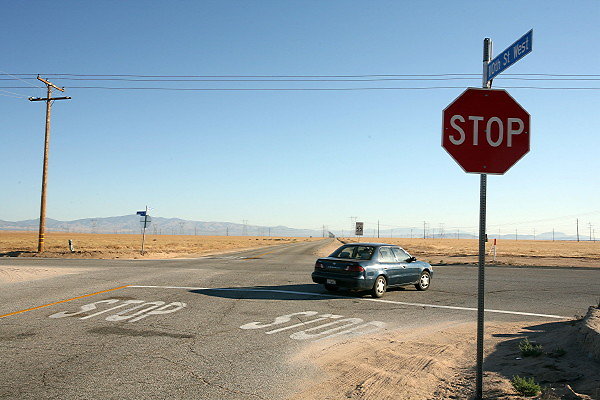 IMG 8054