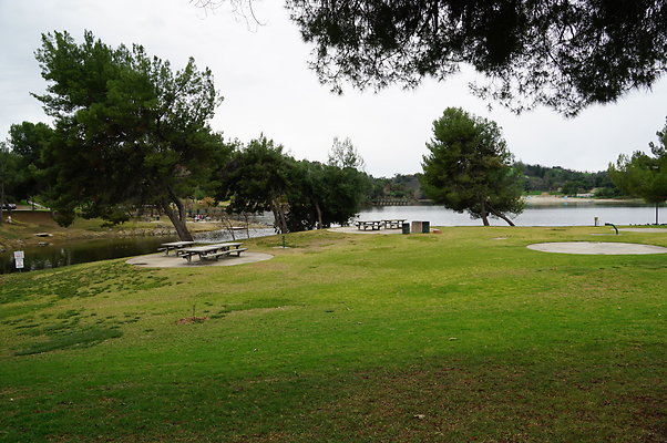 DSC06721