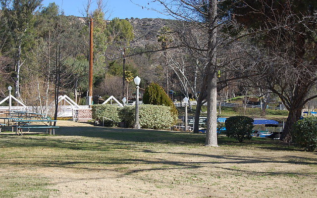 DSC 0201