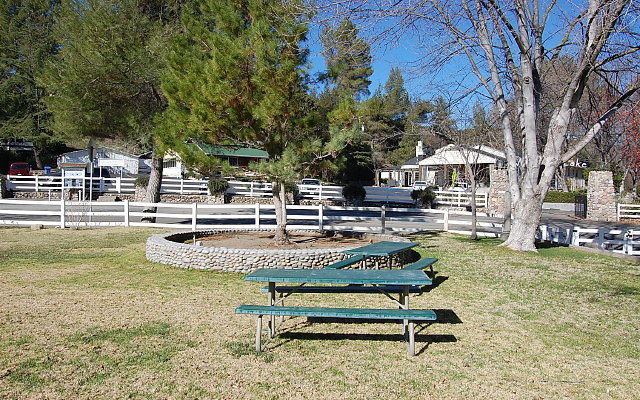 DSC 0006