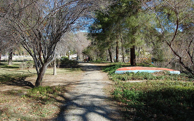 DSC 0177