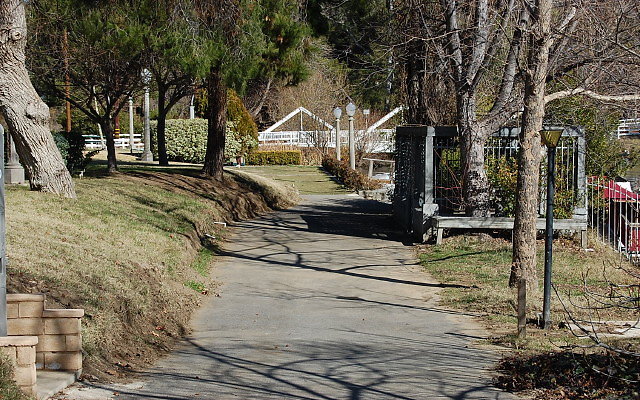 DSC 0166